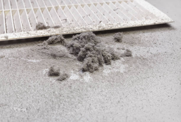 Best Residential Air Duct Cleaning  in Epworth, IA