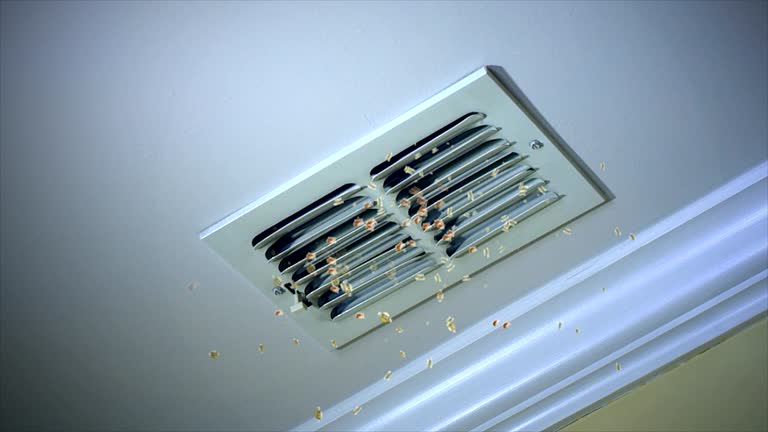 Best Dryer Vent Cleaning Services  in Epworth, IA