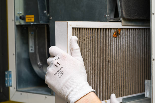 Best Best Air Duct Cleaning Near Me  in Epworth, IA